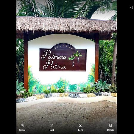 Palmera Palma Top Floor Moalboal Ngoại thất bức ảnh