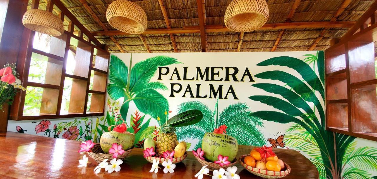Palmera Palma Top Floor Moalboal Ngoại thất bức ảnh