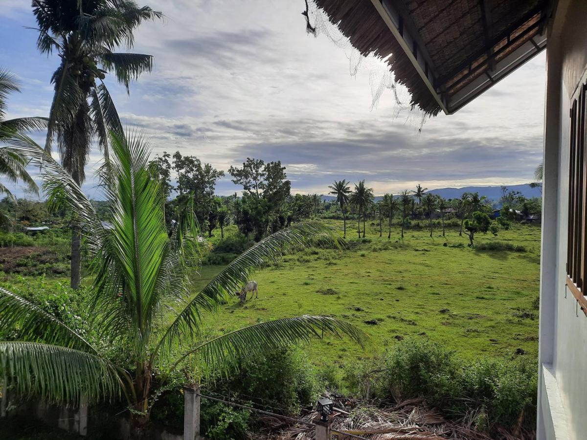 Palmera Palma Top Floor Moalboal Ngoại thất bức ảnh